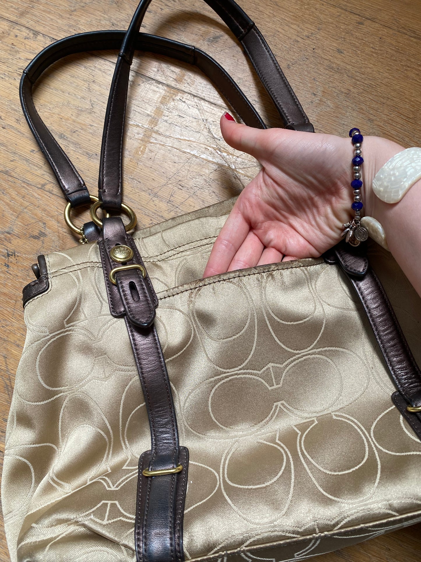 00s Coach Hobo Bag