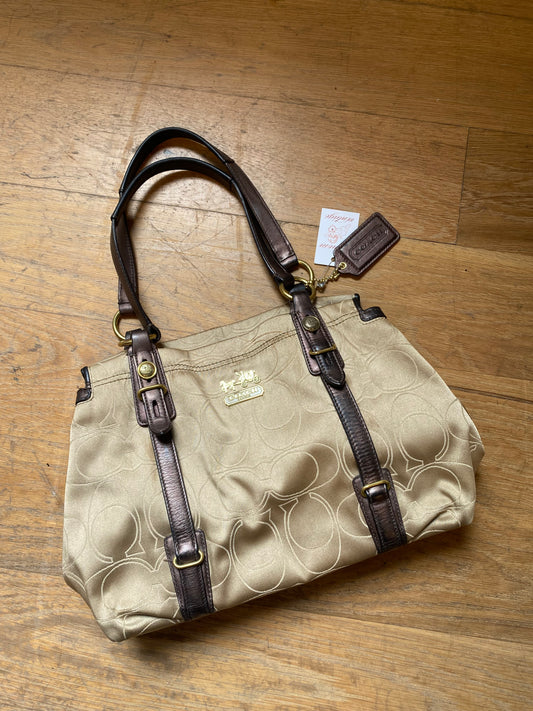 00s Coach Hobo Bag